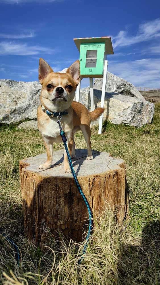 img-spazio-della-lentezza (7)